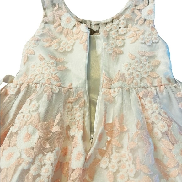 American Princess Floral Dress Size 2T White and Pastel Pink Floral Overlay - Picture 9 of 14